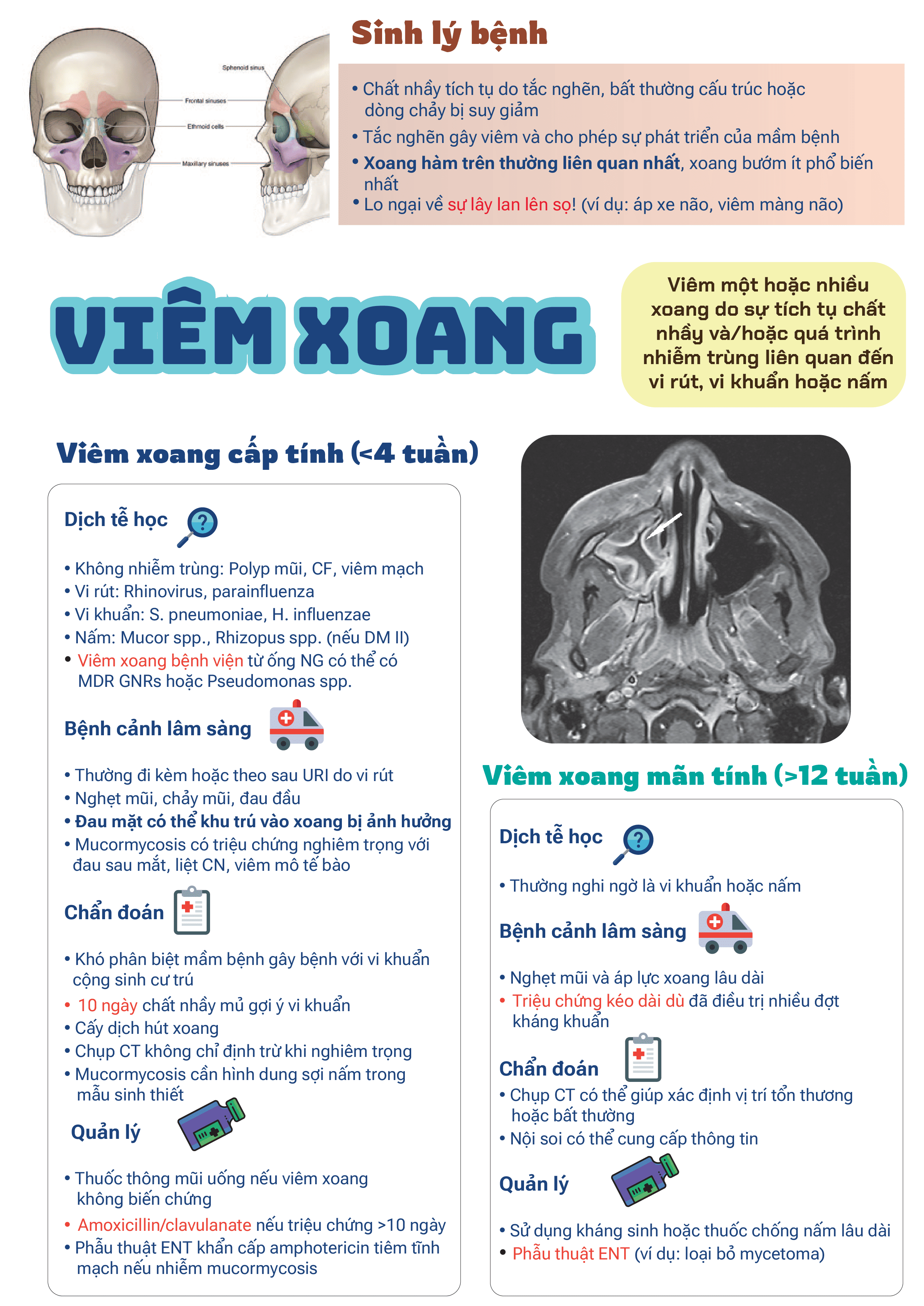 Hệ truyền nhiễm - 44 bài