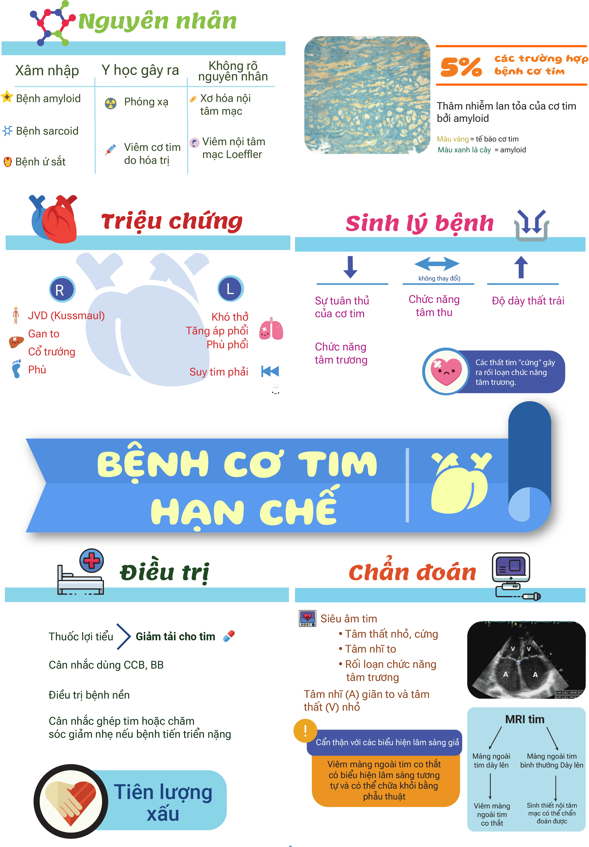 Hệ tim mạch - 26 bài